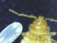 /album/fotogalerie-/pict0011-jpg/